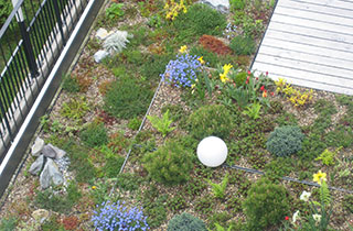 Terrasse und Dachgärten - Gartenbau Portmann Garten AG